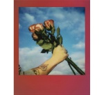 Papier photo instantané Polaroid Film couleur pour Go - Cadre dégradé de couleurs