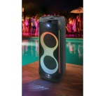 Enceinte Sono DJ Muse Party Box Bluetooth Noir