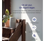 Purificateur Levoit Core Mini Pro