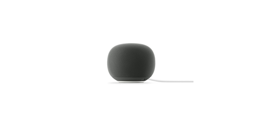 Enceinte intelligente Google Home Speaker Hazel
