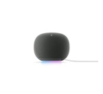 Enceinte intelligente Google Home Speaker Hazel