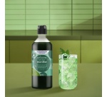 Sirop et concentré Sodastream Concentre Saveur MENTHE SANS SUCRES 440ml