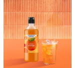 Sirop et concentré Sodastream Concentre Saveur ORANGE 440ml