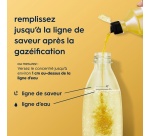Sirop et concentré Sodastream Concentre Saveur AGRUMES SANS SUCRES 440ml