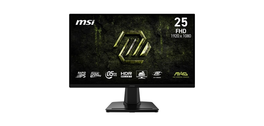 Ecran PC Msi MAG 256F E20 24,5" Full HD