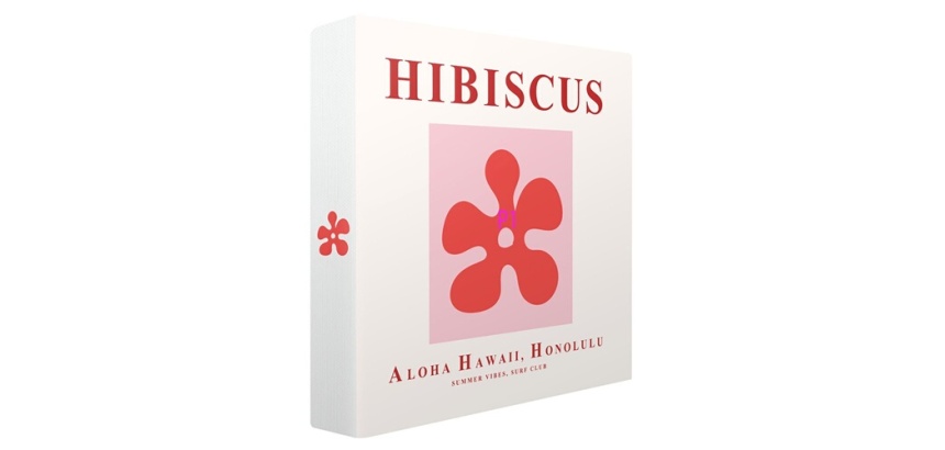 Accessoires photo Ceanothe HIBISCUS 200V