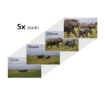 Appareil photo hybride Sony Kit photo animalière Alpha 6700KB E PZ 16-50 mm F3.5-5.6 OSS II Noir + Objectif E 70-350 mm F4.5-6.3 G OSS