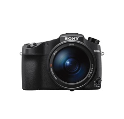 Appareil photo bridge Sony DSC-RX10M5 9,1–210 mm F 2,4-4 Noir