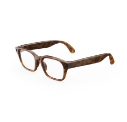 Lunettes connectées IA Meta Adventurer Standard Classique Marron