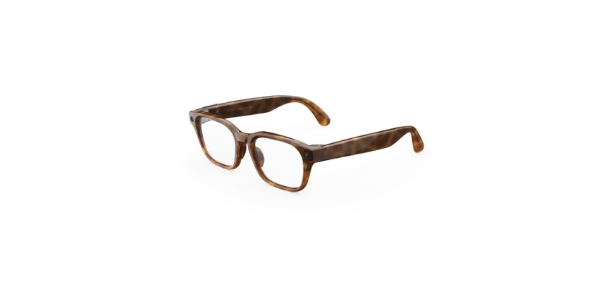 Lunettes connectées IA Meta Adventurer Standard Classique Marron