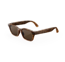 Lunettes connectées IA Meta Adventurer Standard Classique Marron