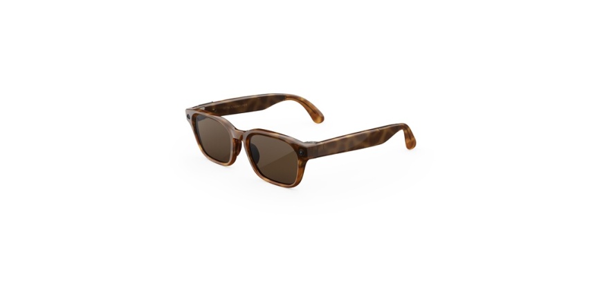 Lunettes connectées IA Meta Adventurer Standard Classique Marron
