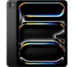 iPad Apple iPad Pro 13" Puce Apple M5 256 Go Noir sidéral Wifi 8ème génération 2025 Reconditionné