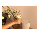 Enceinte multiroom Denon sans fil Bluetooth Home 200 Argent