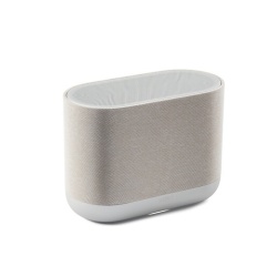 Enceinte multiroom Denon sans fil Bluetooth Home 400 Argent