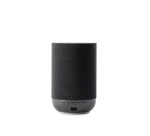 Enceinte multiroom Denon sans fil Bluetooth Home 200 Noir