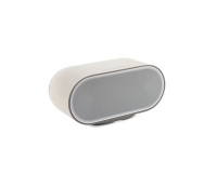 Enceinte multiroom Denon sans fil Bluetooth Home 600 Argent