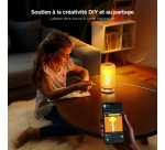 Lampe connectée Govee de table LED RGBICWW