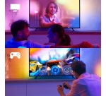 Lampe connectée Philips Hue Lightstrip Hue Play Gradient 55"
