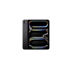 iPad Apple Pro 11" Puce M5 256 Go Noir Wi-Fi 5G Reconditionné