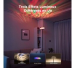 Lampe connectée Govee sur pied RGBICW 170 cm Noir
