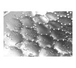 Lave-linge séchant Miele WTR860WPM