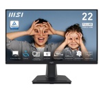 Ecran PC Msi PRO MP225V
