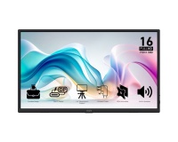Ecran PC Msi PRO MP165 E6