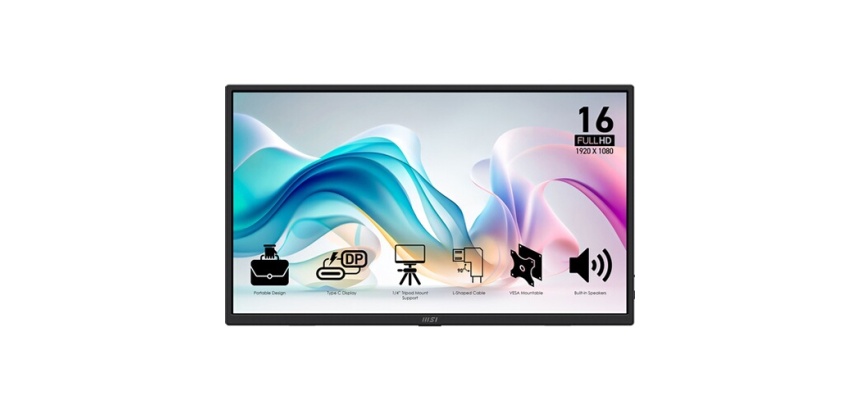 Ecran PC Msi PRO MP165 E6