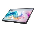Ecran PC Msi PRO MP165 E6