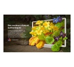 TV LED Hisense QLED 32S5Q 80 cm 2026