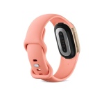 Bracelets connectés Google Fitbit Edge Rose Canyon