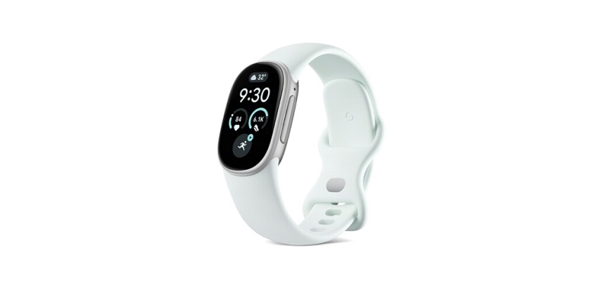 Bracelets connectés Google Fitbit Edge Gris Fog