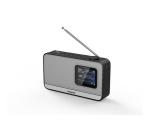 Radio Panasonic RF-D15EG-K DAB+ écran couleur Noir/Argenté
