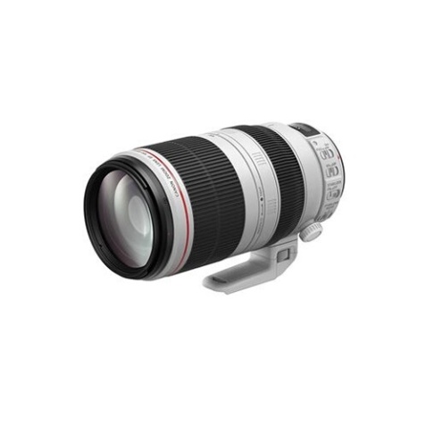 Objectif zoom Canon EF 100-400mm f/4,5-5,6 L IS II USM
