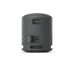 Enceinte sans fil Sony SRS-XB100 - Noir Basalte