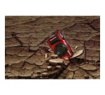 Appareil photo compact Om System TG-7 rouge