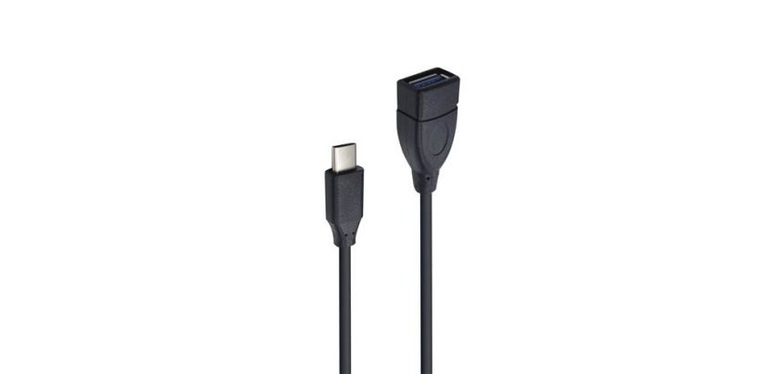 Cables USB Accsup ADAPTATEUR USB-C MALE VERS USB 3.1 FEMELLE NOIR