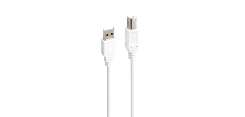 Cables USB Accsup CABLE IMPRIMANTE USB-A VERS USB-B 2.0 5M BLANC