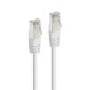 Câbles réseau Accsup CABLE RJ45 CAT6 DROIT 2M BLANC