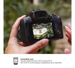 Appareil photo hybride Canon EOS R10