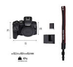 Appareil photo hybride Canon EOS R10