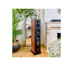 Enceinte colonne Triangle Antal 902 Cognac Vendue a l''unite