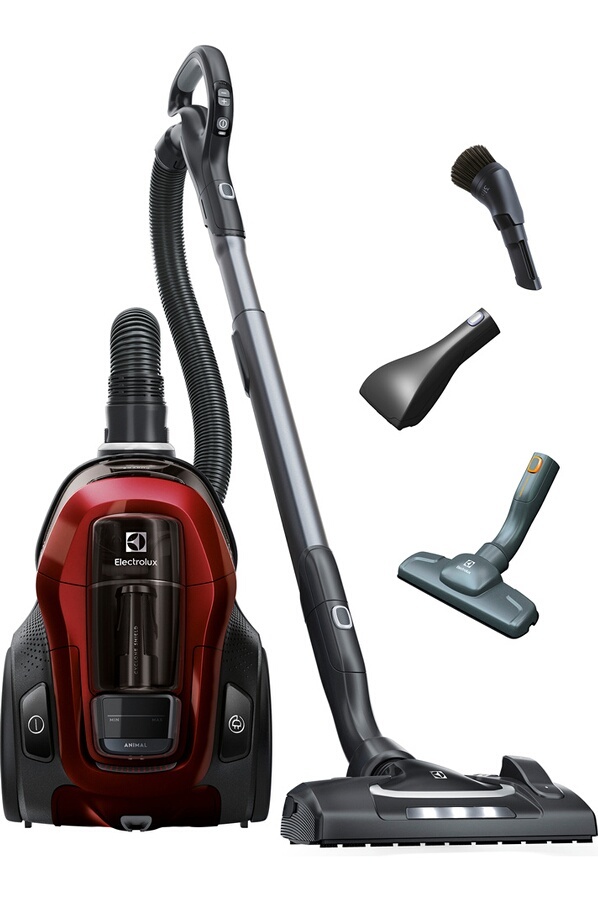 Aspirateur sans sac Electrolux PC91-ANIMA sur