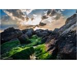 Objectif zoom Sony FE 24-70mm f/2.8 GM II
