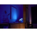 Lampe connectée Philips Hue Iris Blanc transparent