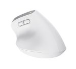 Trust Bayo+ souris Bureau Droitier RF sans fil + Bluetooth Optique 2400 DPI
