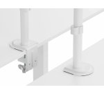Equip 17"-32" Articulating Dual Monitor Desk Mount Bracket, White