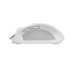 Trust Ozaa souris Bureau Droitier RF sans fil + Bluetooth Optique 3200 DPI