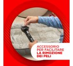 Polti StainOver SC30, lavatappeti con funzione pulitore a vapore, 4 funzioni in 1